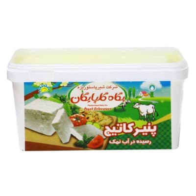 پگاه پنیر 400گ لاکتیکی کاتیجIML 05963