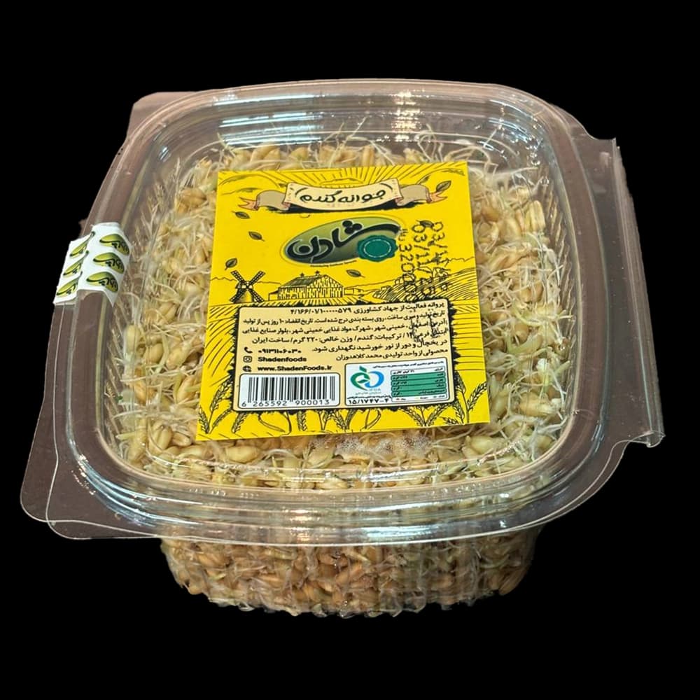 شادن جوانه گندم