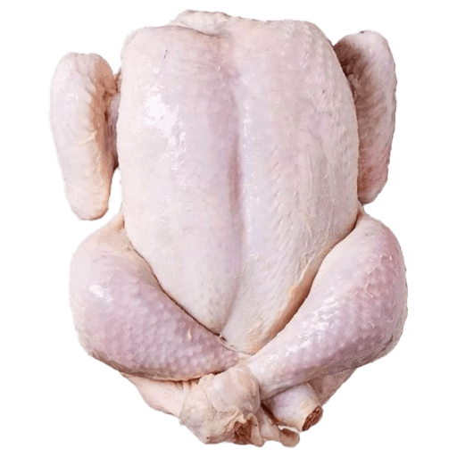 گوشت مرغ