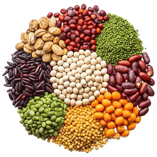 حبوبات